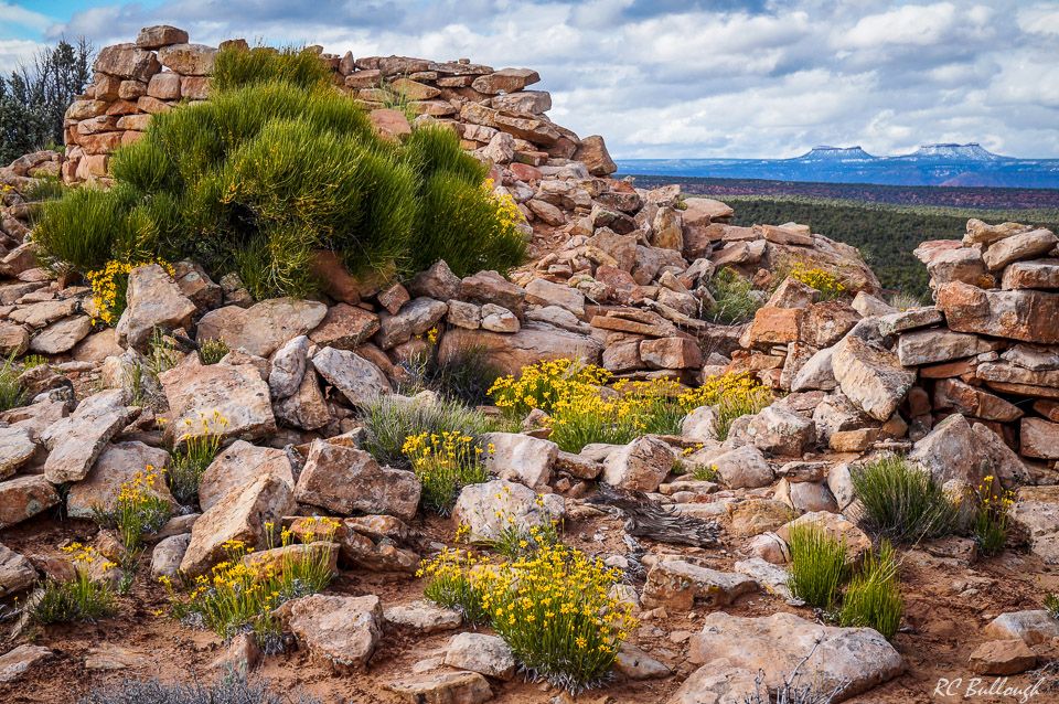 FCM Statement on Biden’s Order to Review Bears Ears Boundaries