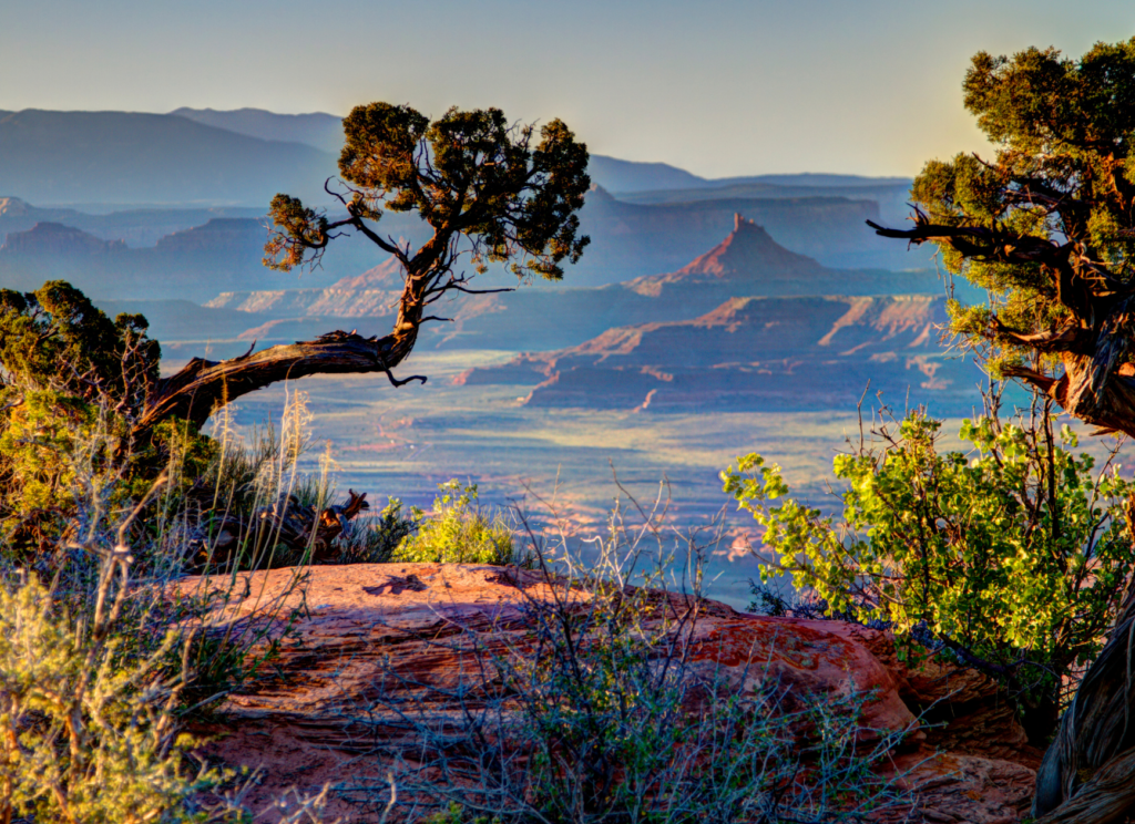 The BLM Announces Avoidance Areas to Protect Raptors in the Indian Creek Special Recreation Management Area 