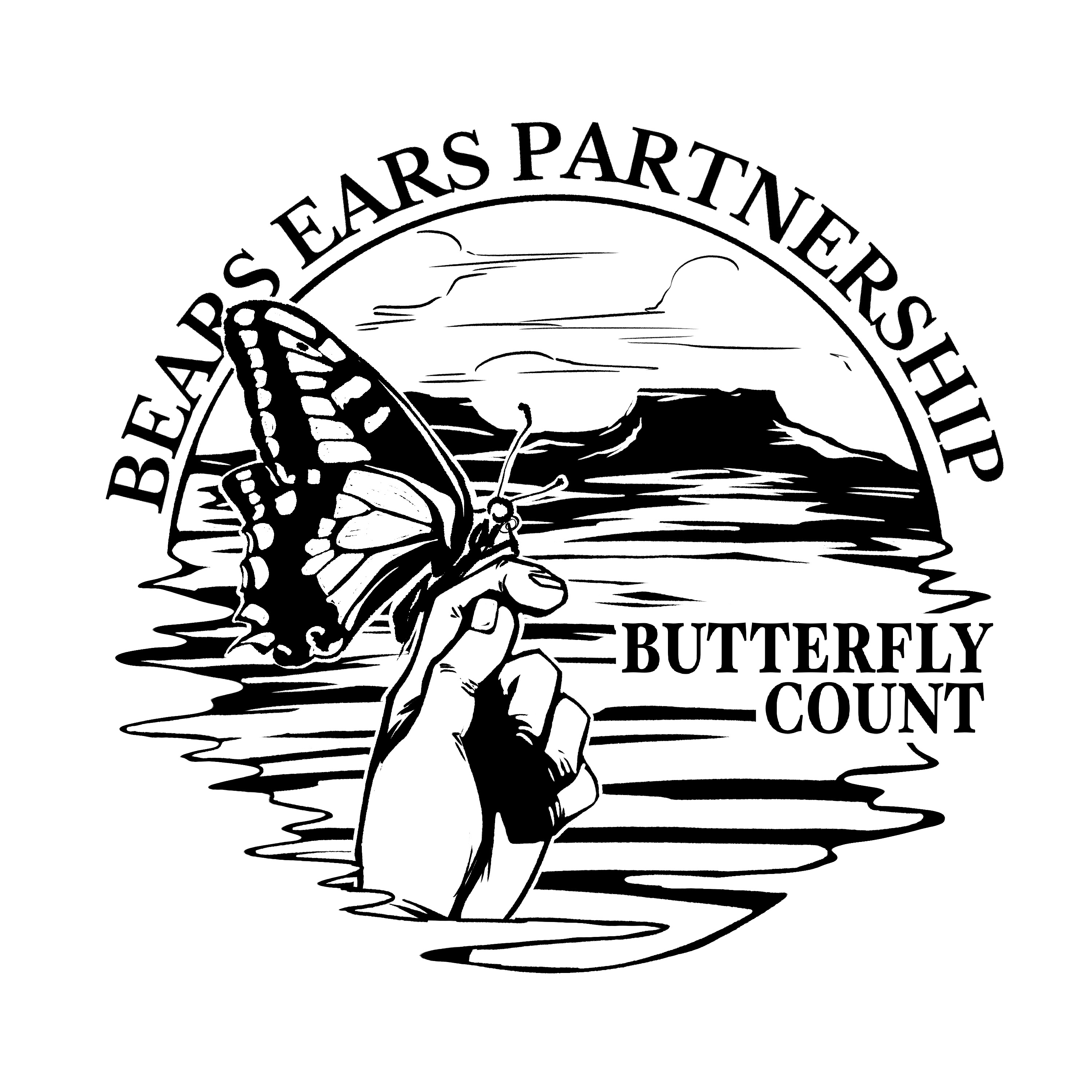 Beef Basin Butterfly Count