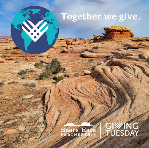 Giving Tuesday Graphic