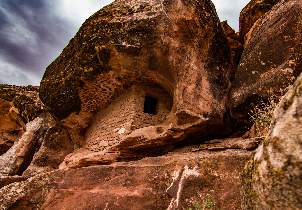 Honeycomb Granary Wide WEB