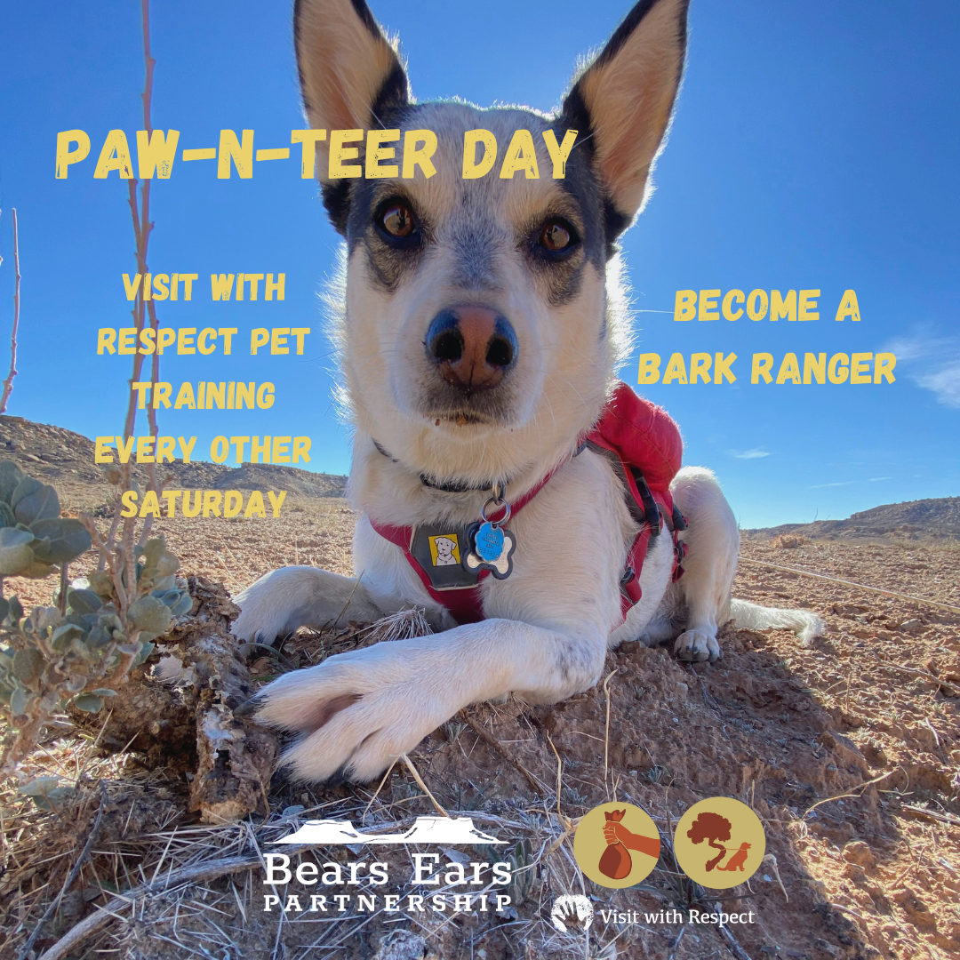 Paw-N-Teer Day: June 1