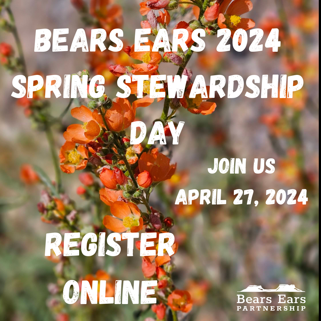 Spring Stewardship Day 2024