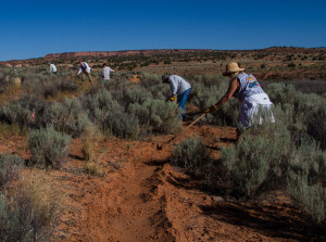 lower fish trail volunteers1 300x223