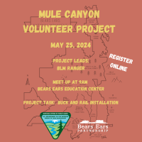 Mule Canyon Volunteer Day