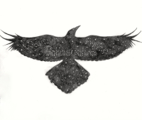 Sylvia Taylor on "Raven: A Cultural and Natural History of this Iconic Species"