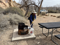 Volunteer Opportunity: Weed Removal & Campsite Beautification in Indian Creek